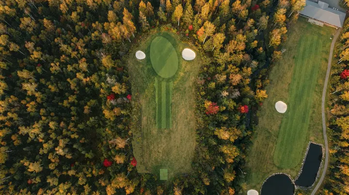 Hoshiyama from the air: two fairways through birch and maple in autumn reds and golds, with ponds beside the greens.